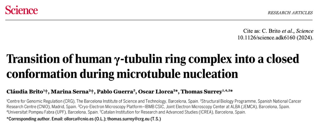 Science重磅：首次捕獲人類細胞“高速公路”構建過程的高分辨率圖像，為微管相關疾病的治療指明新的方向！