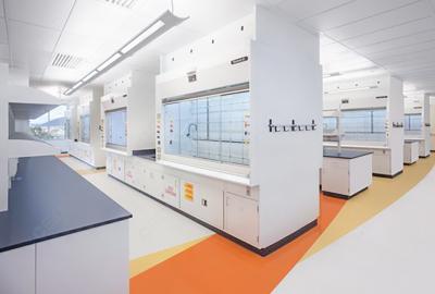 市場監(jiān)管總局辦公廳關于打擊食品中非法添加比沙可啶及其系列衍生物違法行為的通知