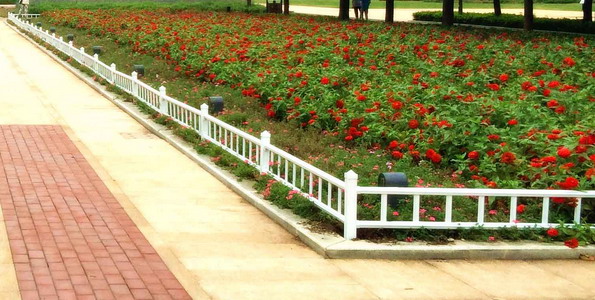 護欄網,市政護欄網,欄網廠家