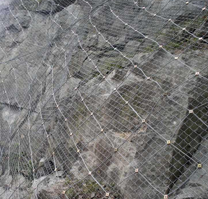 主動(dòng)防護(hù)網(wǎng)