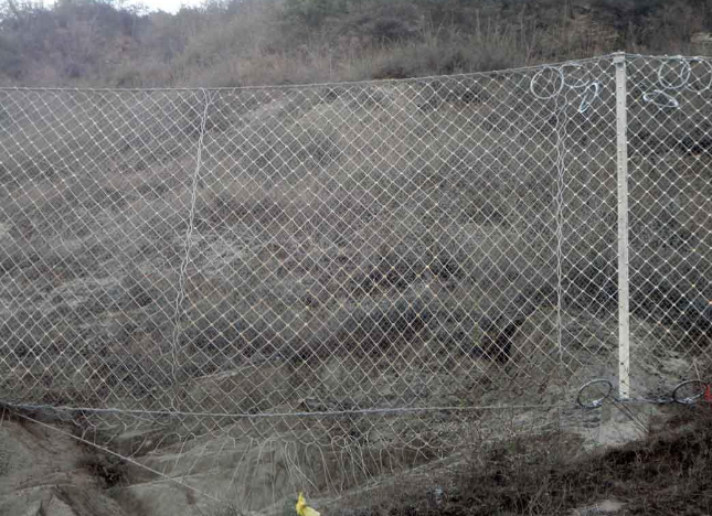 柔性被動防護(hù)網(wǎng)