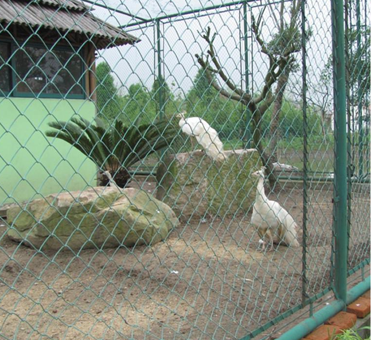 網(wǎng)球場(chǎng)圍欄網(wǎng)