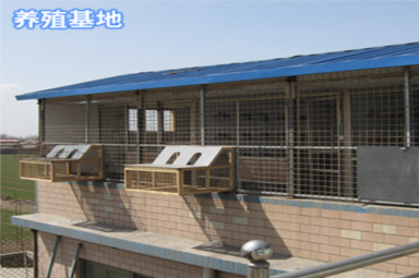 養殖基地護欄網