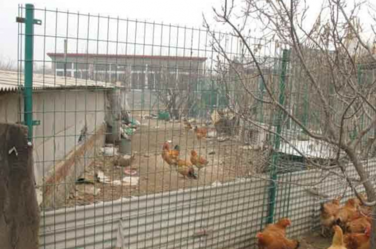 養殖護欄網規格